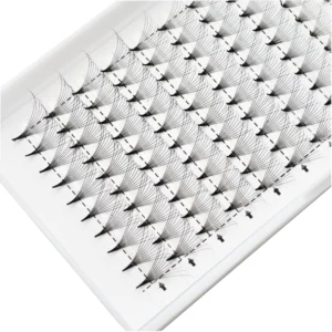Volume lash fans premade eyelash extensions professional white tray beauty salon supplies organized